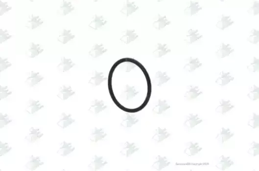 кольцо уплотнительное КПП !цилиндра переключения \ZF 16S109 95531009 EURORICAMBI