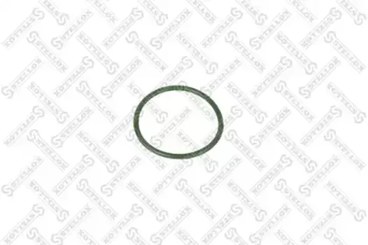 кольцо уплотнительное! (р) тормозного вала 40x2.5\BPW SN30../36../42..