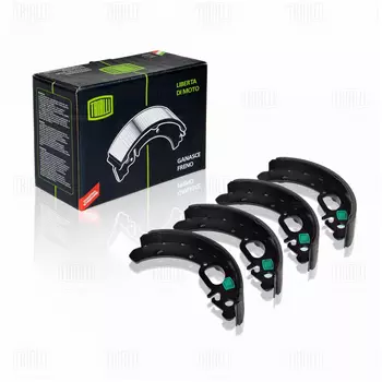 Тормозные колодки барабанные задняя ось TRIALLI GF 239