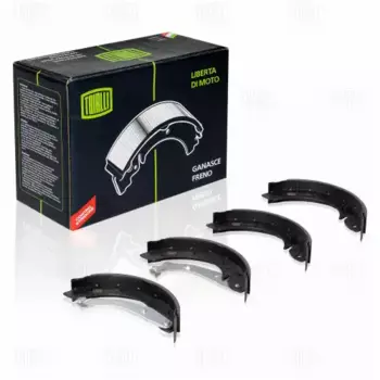 Тормозные колодки барабанные задняя ось TRIALLI GF 2001