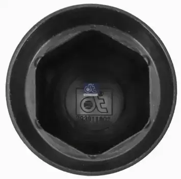 колпачок гайки! для 1.17026\Scania P/R-Series 1.29003 DT