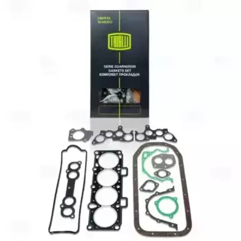 Комплект прокладок двигателя TRIALLI GZ 101 7022