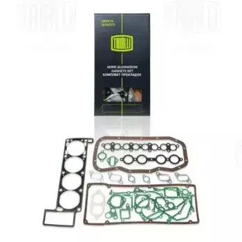 Комплект прокладок двигателя TRIALLI GZ 101 7025