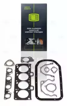 Комплект прокладок двигателя TRIALLI GZ 101 7027