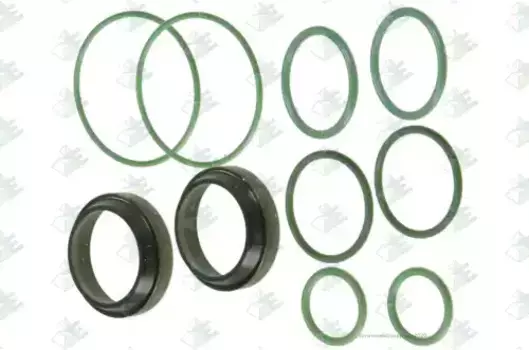 комплект уплотнительных колец КПП! 10шт\ Scania P/G/R DC9/DC13 XPI Euro5 74530684 EURORICAMBI