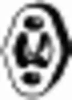 крепление глушителя!\ Ford Mondeo Turnier 1.8/2.0 16V/Focus 1.8TDCi/2.0TDCi 00> 255-059 BOSAL