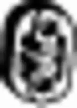 крепление глушителя!\ Nissan Almera/Almera Tino 1.5i-2.0i 16V/2.2TD 00> 255-132 BOSAL