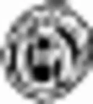 крепление глушителя!\ Peugeot 406 1.6-2.2HDi 99-04 255-108 BOSAL