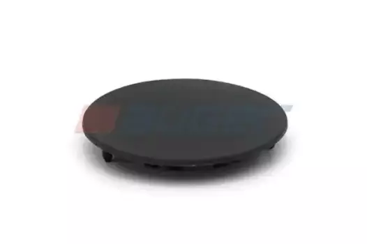 крышка крыла!\ MAN TGS/TGX/TGA