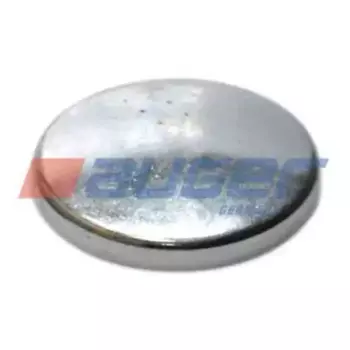 крышка шкворня !(м)\Omn MAN F2000/Lions 60082 AUGER