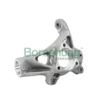 Кулак поворотный BORSEHUNG B18510