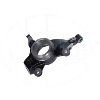 Кулак поворотный NSP NSP02517160U001