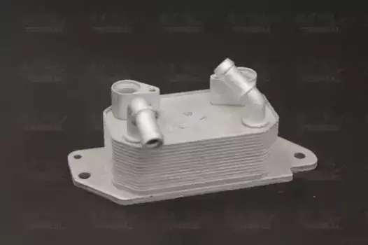 Масляный радиатор TERMAL 701115