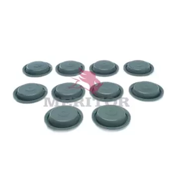 мембрана! тип 24RD с отворотом\ MAN TGA