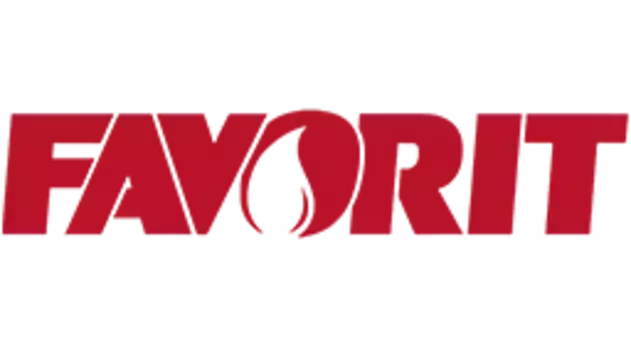 Моторное масло FAVORIT 52213 1 л