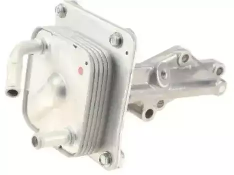 Моторное масло NISSAN 21300-JG36A