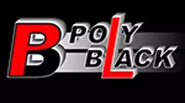 N-12-2767 Втулка усиленная полиуретановая N-12-2767 PolyBlack