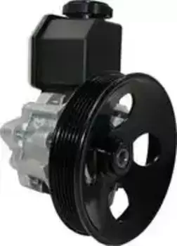 Насос гидроусилителя руля MOTORHERZ P1074HG