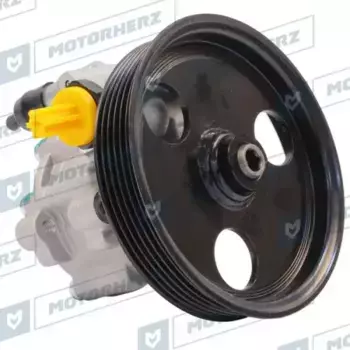 Насос гидроусилителя руля MOTORHERZ P1689HG