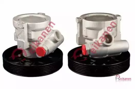 Насос гидроусилителя руля REIKANEN P0603Y