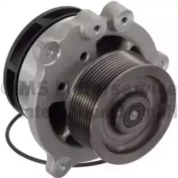 Насос системы охлаждения (помпа) BF 20 1609 13001