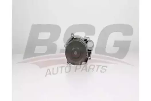 Насос системы охлаждения (помпа) BSG BSG 15-500-009