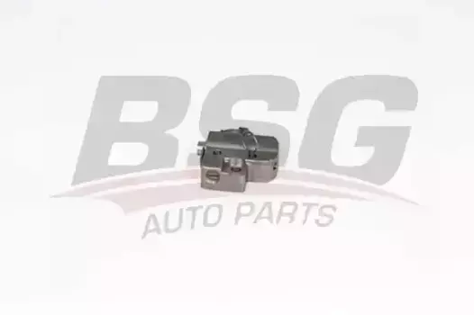 натяжитель цепи ГРМ!\ Ford Mondeo 00>/Focus 04>/Maverick 00>/S-Max 06> BSG 30-109-028 BSG