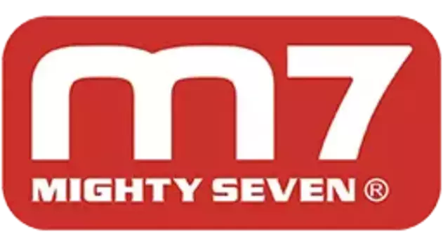 NC-8266PP37 MIGHTY SEVEN Ремкомплект для гайковерта NC-8266, ручка боковая