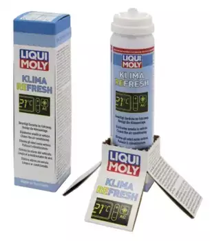 Очиститель кондиционера LIQUI MOLY 20000 аэрозольный 0.075 л