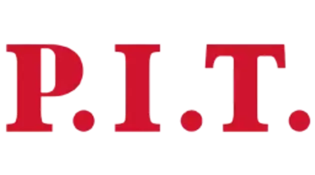 Отвёртка аккумуляторная, 3,6 В, 2 Нм, 1,3 Ач, биты 23 шт, USB заряд PES36P24A P.I.T