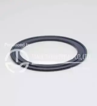 P307 ПРОКЛАДКА ТЕРМОСТАТА TAMA