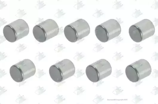 палец КПП! ролик синхронизатора\Eaton FSV8209A/FSOV8209/FSF8209A, MAN, DAF, RVI 35510236 EURORICAMBI