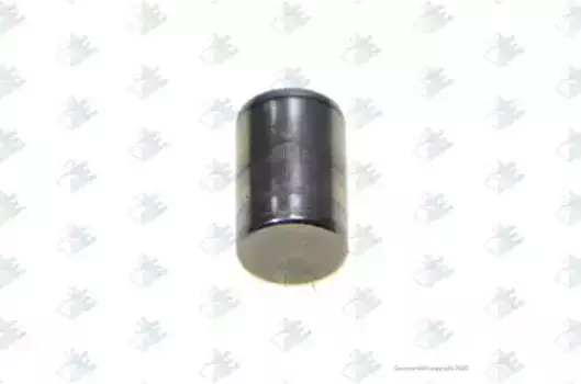 палец опорный КПП! ролик 4x \Scania GR801/R,GR880/T,GRH880,GR/H900/R 74530220 EURORICAMBI