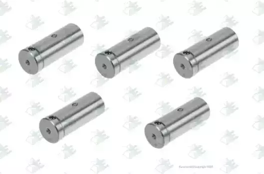палец планетарной передачи!\ Eaton 8209/FS 8309, DAF, MAN 35510247 EURORICAMBI