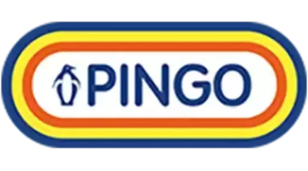 паста для очистки рук PINGO PG-85010-1 0.65 л