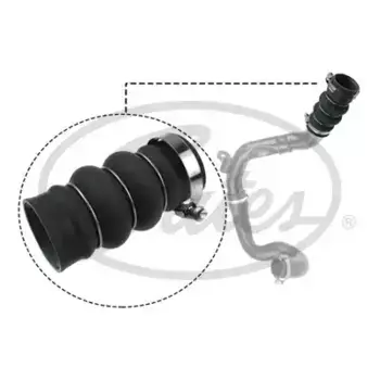 патрубок интеркулера!\Ford Tourneo Connect 02-13 09-0627 GATES