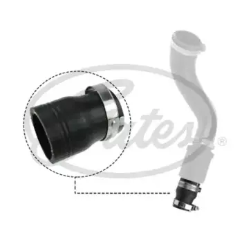 патрубок интеркулера!\ Ford Transit V347 11> 09-0618 GATES