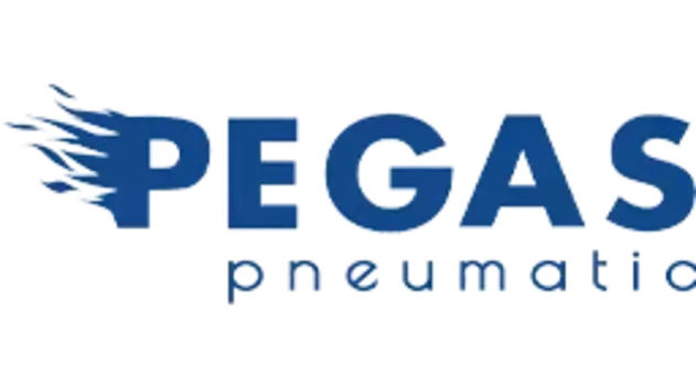 PEGAS PNEUMATIC 6010