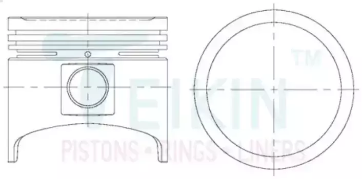 PISTON ASSY 44102100 TEIKIN
