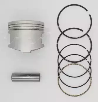 PN33160 PN-33160 поршень с кольцами STD NISSAN E16 AUTOWELT