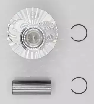 PN51461 PN-51461 поршень 0.50 AUDI/VW 1.9TDI BLS/BXE/BJB... 3/4цил. AUTOWELT