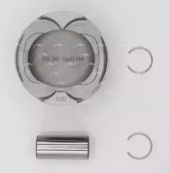 PN54250 PN-54250 поршень STD FORD 1.5i 16V EcoBoost M8DA/M9DA/UNCA AUTOWELT