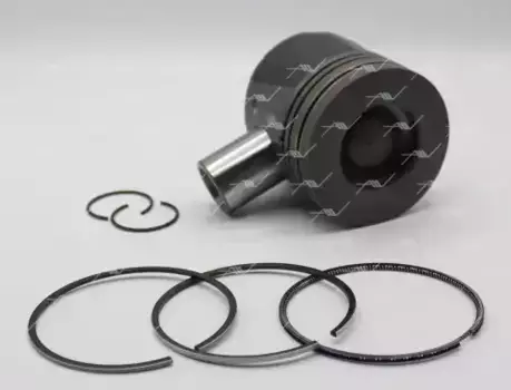 PN-40031 PN-40031 поршень с кольцами 0.50 SSANG YONG D20DTF/D20DTR AUTOWELT