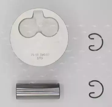 PN-51020 ПОРШЕНЬ STD AUDI/VW 1.9D/2.4D AUTOWELT