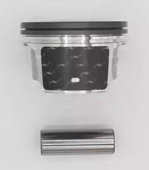 PN-54001 ПОРШЕНЬ 0.50 FORD/MAZDA 1.8 16V CGBA/CHBA... AUTOWELT