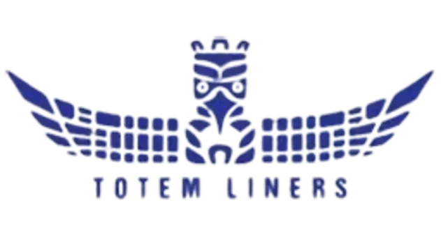 Подкрылок TOTEM NLL2917001