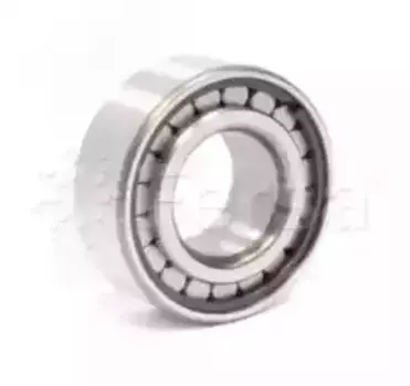 подшипник роликовый! дифференциала 45x100x31 \Iveco EuroCargo F19063 FERSA