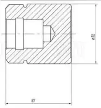 поршень суппорта перед. d52мм!\Opel Astra G 98> RCF 032118 TRIALLI