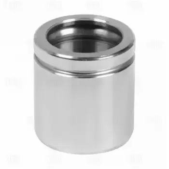 поршень суппорта перед. d54мм!\ Audi, Seat, Skoda 10> RCF 182002 TRIALLI