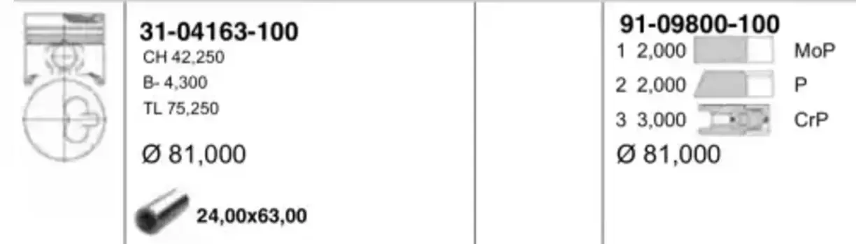 поршень в сборе! поршень+кольца +1.00\ Renault Clio/Kangoo 1.9D 96> 31-04163-100 YENMAK